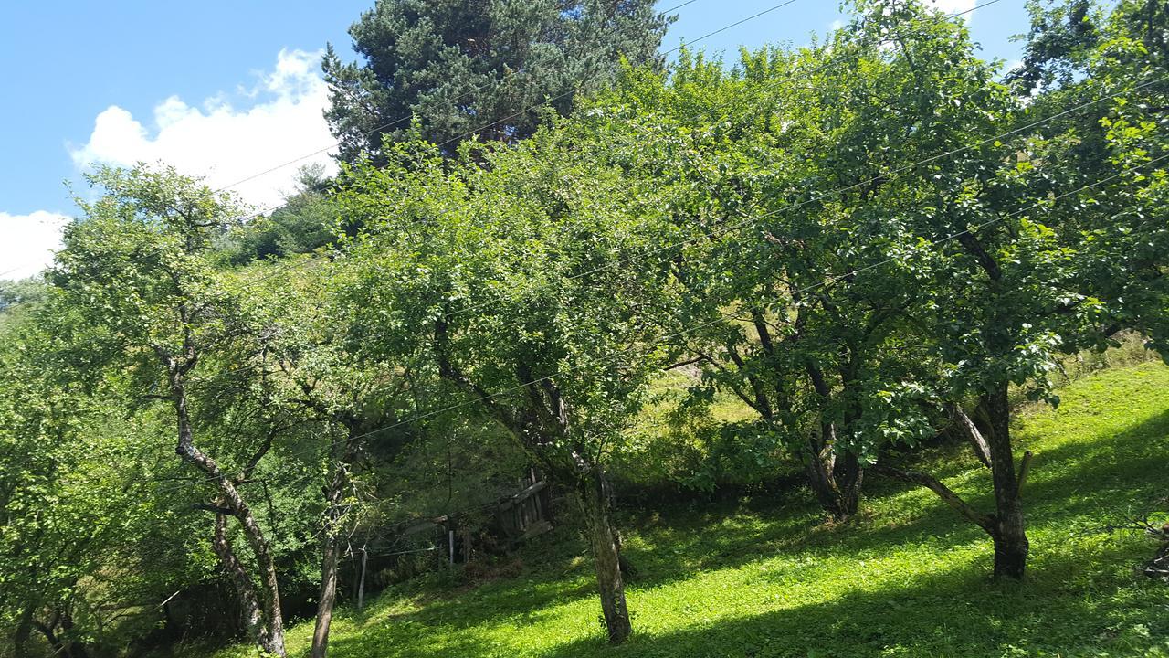 Bed and Breakfast Raul Lushnu Darbaz Mestia Exterior foto