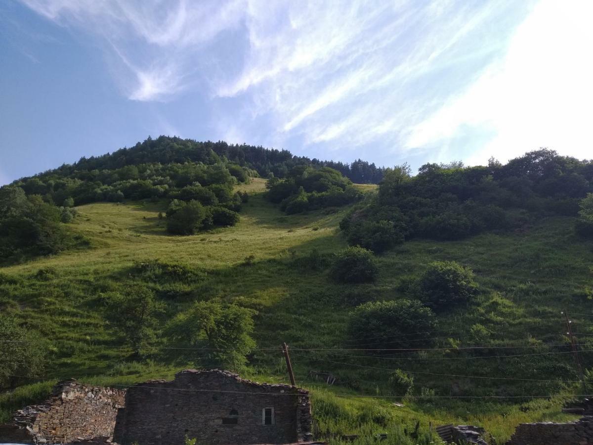 Bed and Breakfast Raul Lushnu Darbaz Mestia Exterior foto