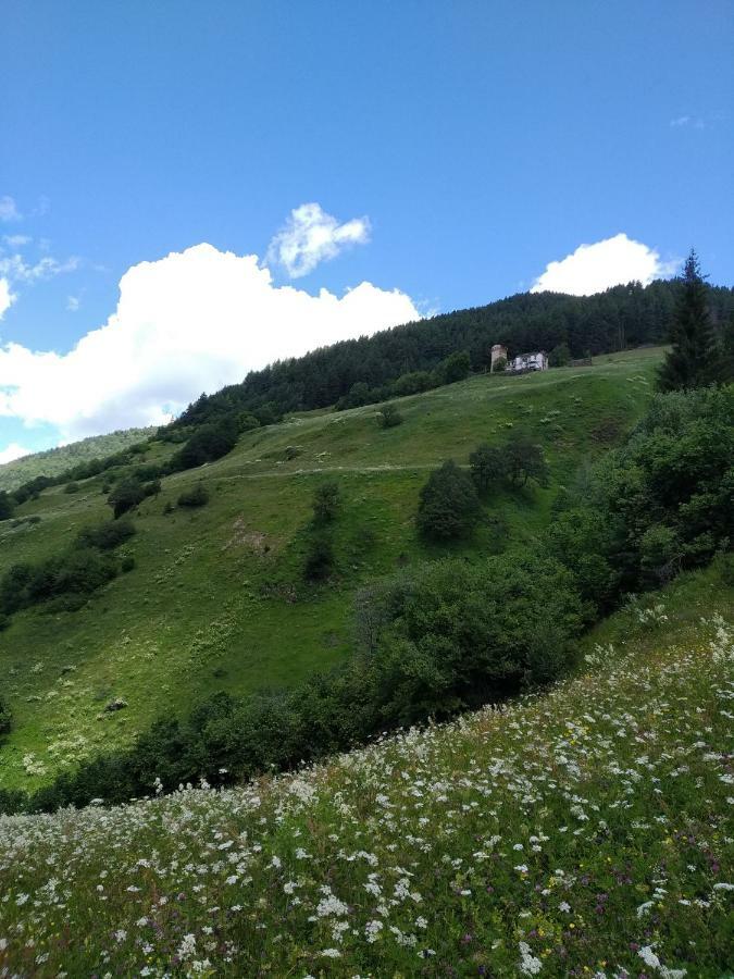 Bed and Breakfast Raul Lushnu Darbaz Mestia Exterior foto